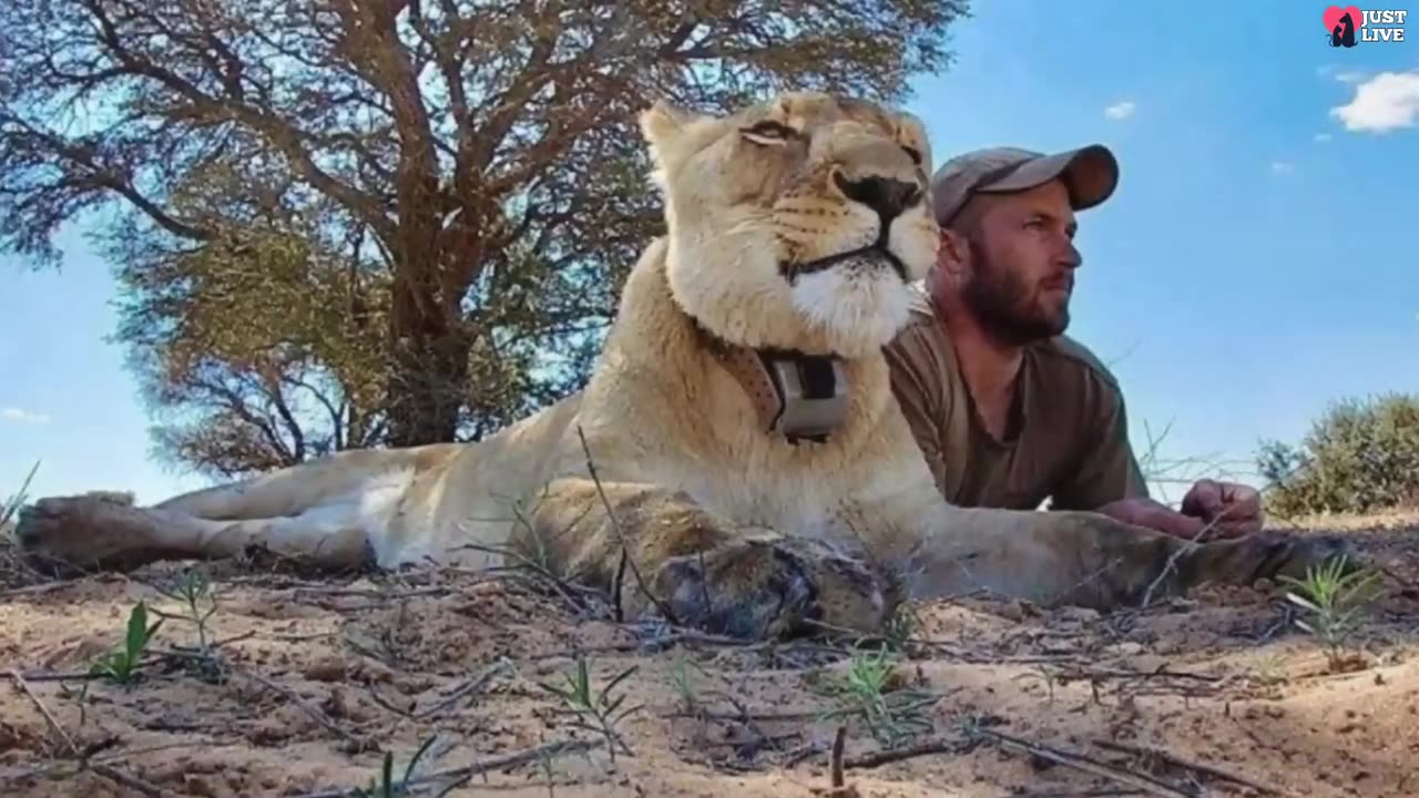 Man saves tiny lioness abandoned by mom! Now their friendship shocks everyone