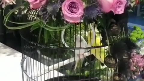 Bird and flowers arrangement