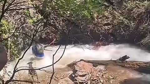 Family Almost Loses Dog in a Waterfall