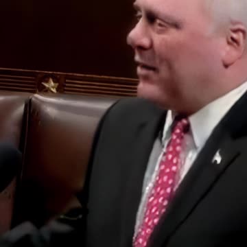 Steve Scalise, Justice Department Trying To Tag Parents As Domestic Terrorists