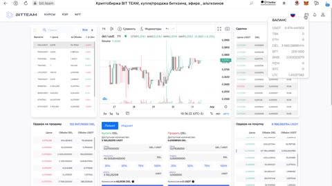 Bit.team exchange overview. Buy and sale of cryptocurrency DEL on the exchange.