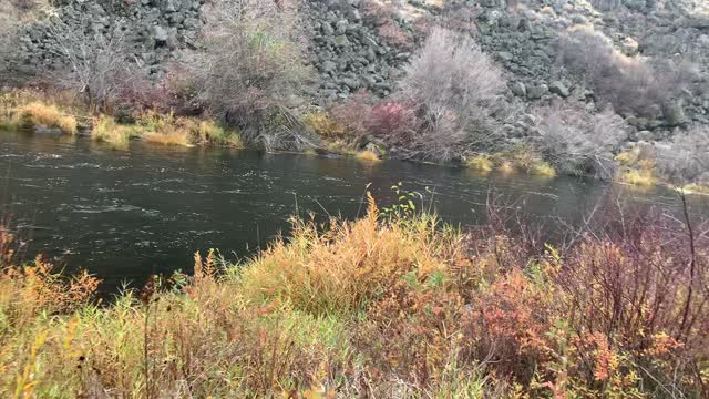 Central Oregon – Steelhead Falls – Walking to Shoreline through Brush