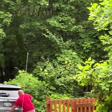 Bears in Cars. Not so good!