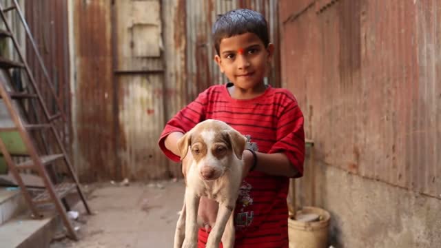 Portrait of Indian boy on a street in Mumbai holding a puppy