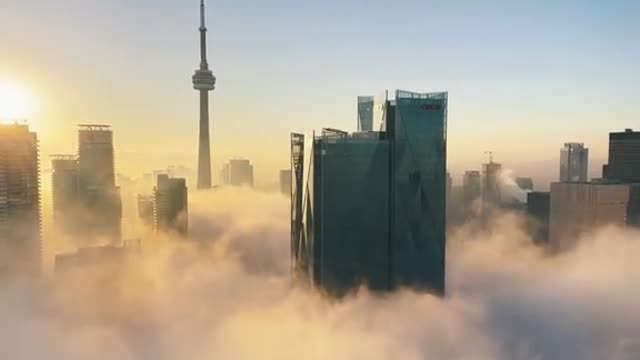 Standing on top of the city