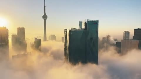 Standing on top of the city