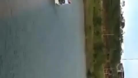 This is a beautiful and charming water-dwelling species