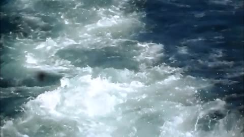 dads boat