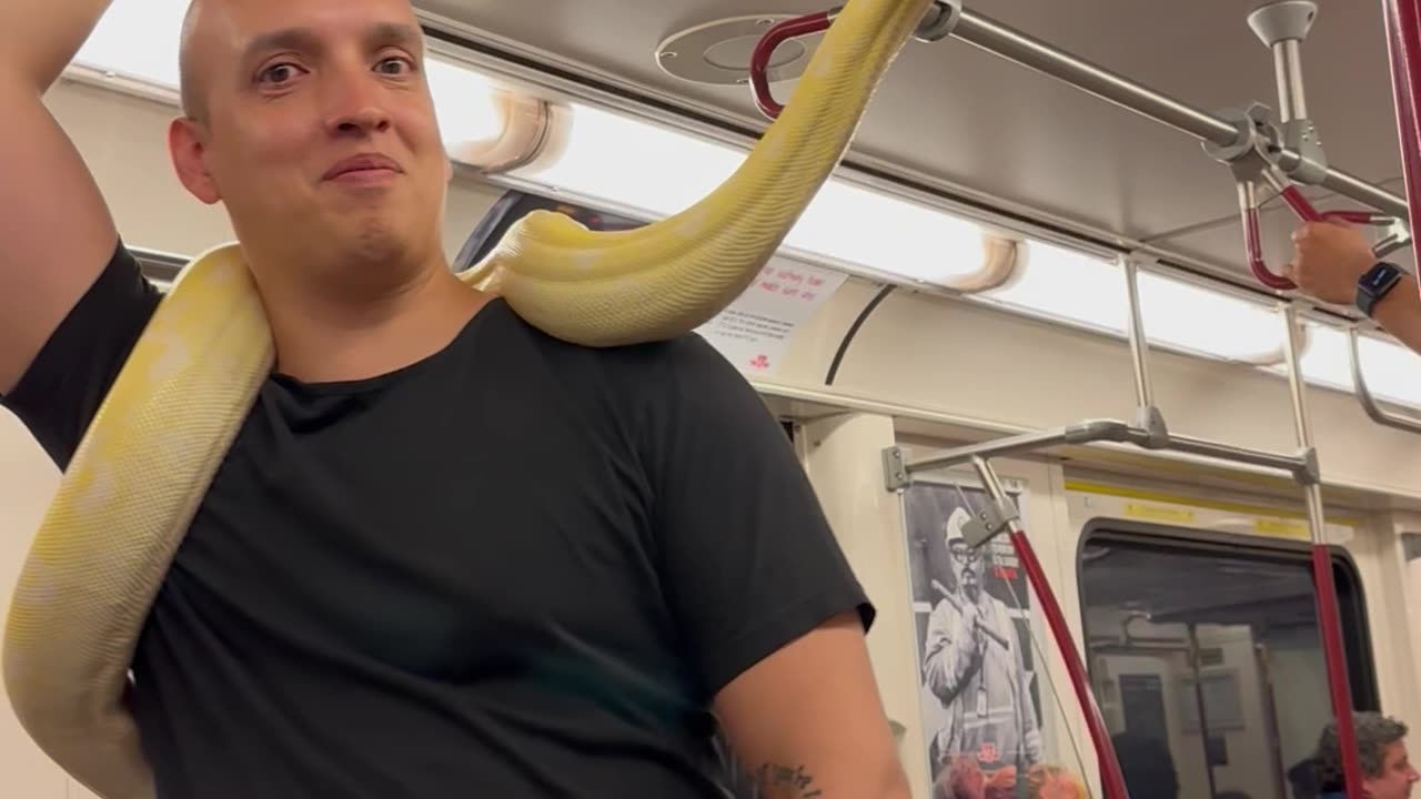 Man Takes Pet Snake On Toronto Train