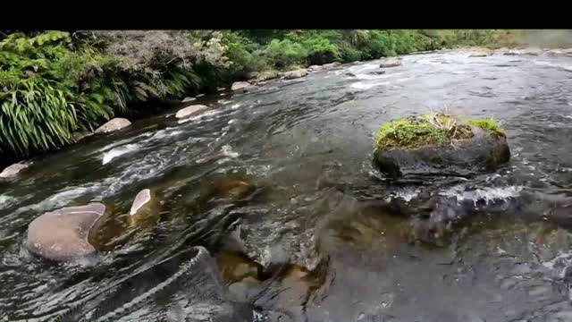 Fishing In River