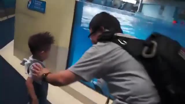 FUNNY DOLPHIN PLAYED WITH KID