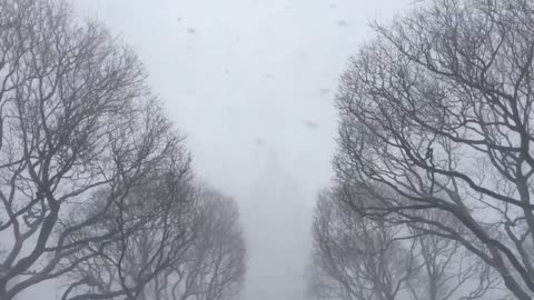 Statehouse snow scene