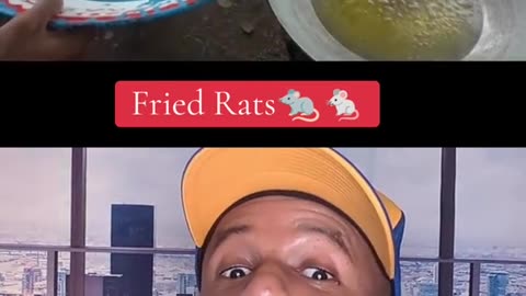 Fried Rat 🐀🤢🤢🤢🤢🤢🤢