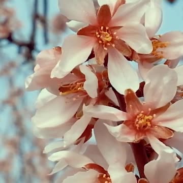 Take a Break: Discover How Relaxing This is! Volume 100