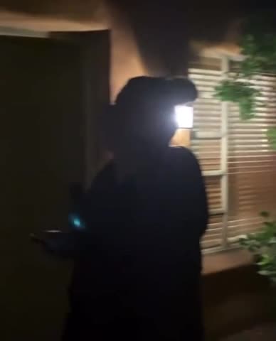 Raucous Crowd Yells at Sinema Outside Home