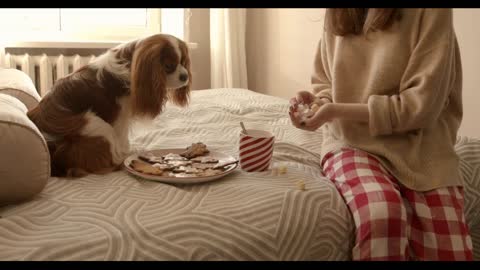 A young woman sits on the bed with her dog and a platter of cookies and puts marshmallows