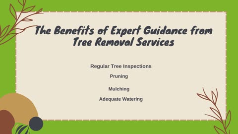 Essential Tree Care Tips from Expert Tree Removal Services