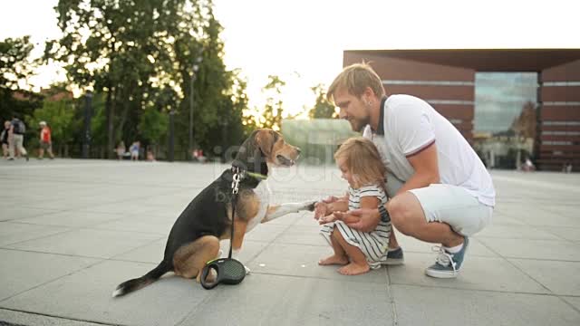 Baby Dogs 🔴 Cute and Funny Dog Videos Compilation #38 | 30 Minutes of Funny Puppy Videos