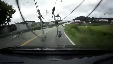 Power Line Falls On Car