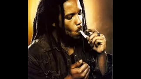 Stephen & Damien Marley - Tight Ship