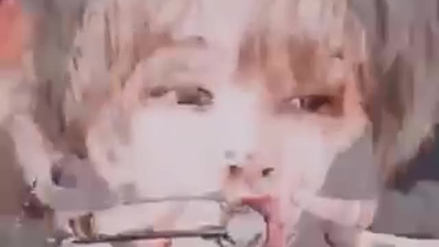 BTS FANS