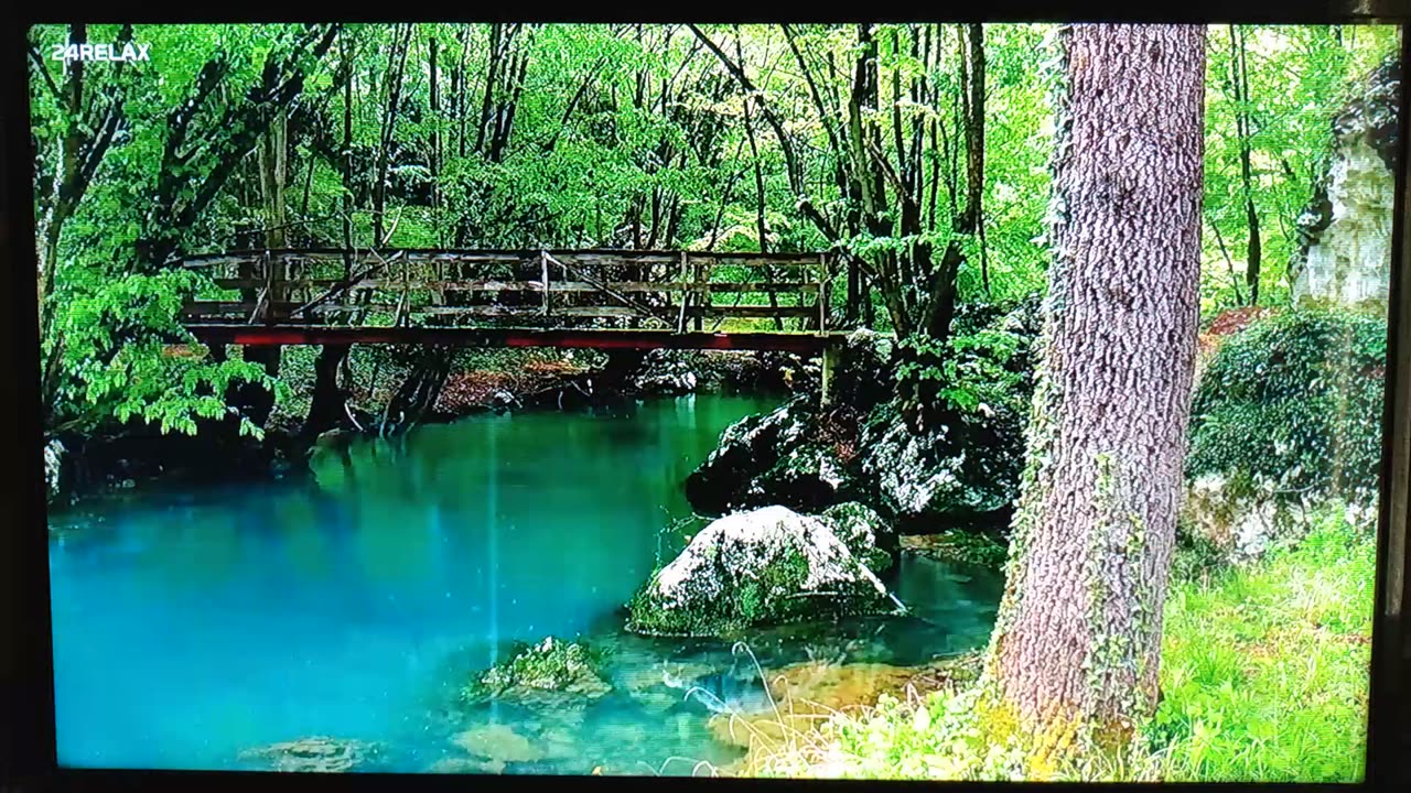 A DREAM I HAD THIS MORNING....