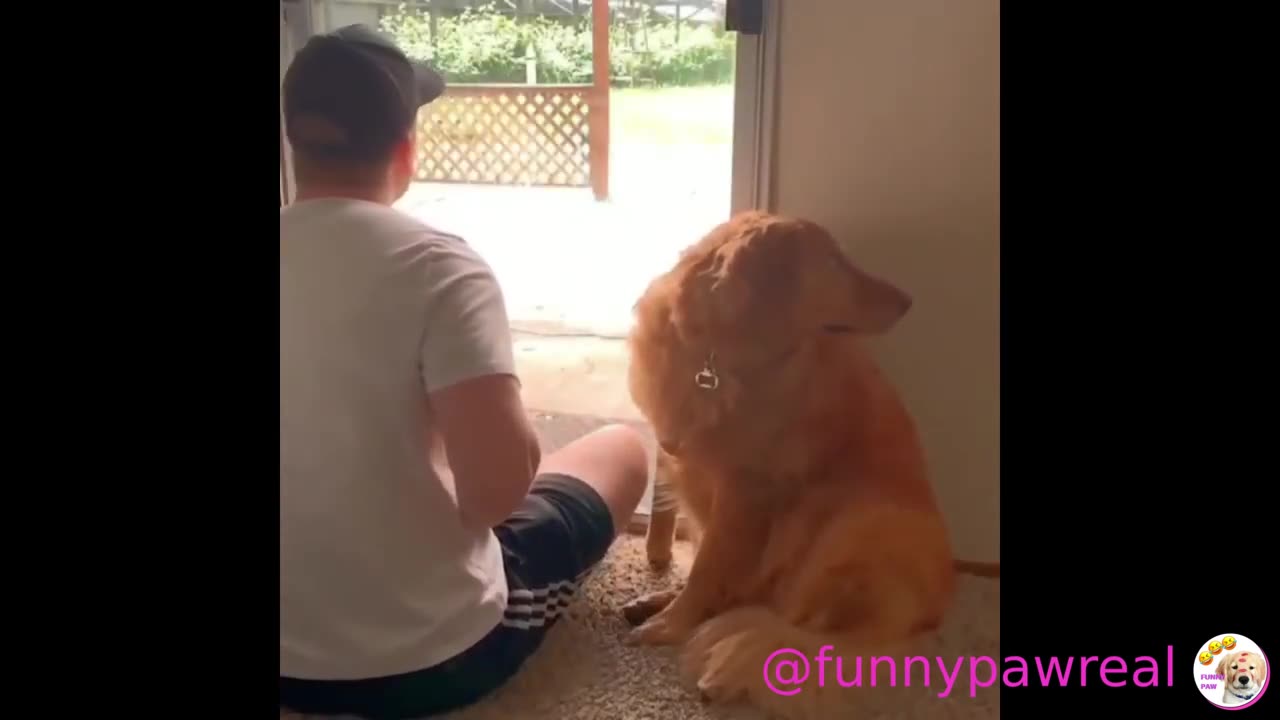 funniest moments of animals in 2022 (part 3)