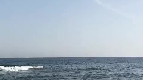 The beauty and magic of the sea