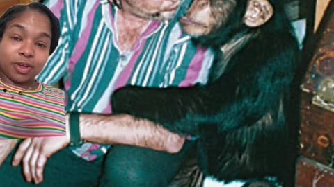 THE HORRIFIC CASE OF TRAVIS THE CHIMPANZEE