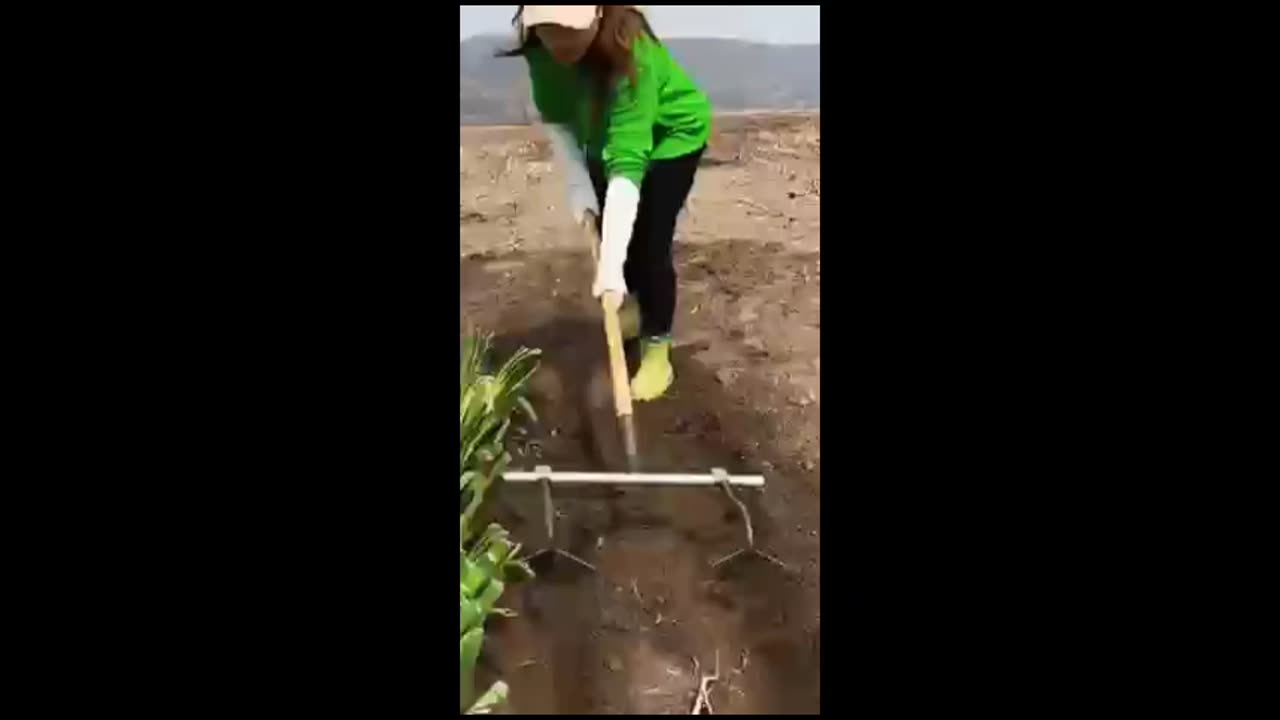 Simple and Advanced Agriculture Hacks