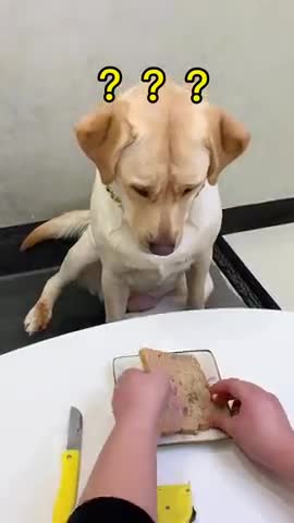 Funny that's not enough