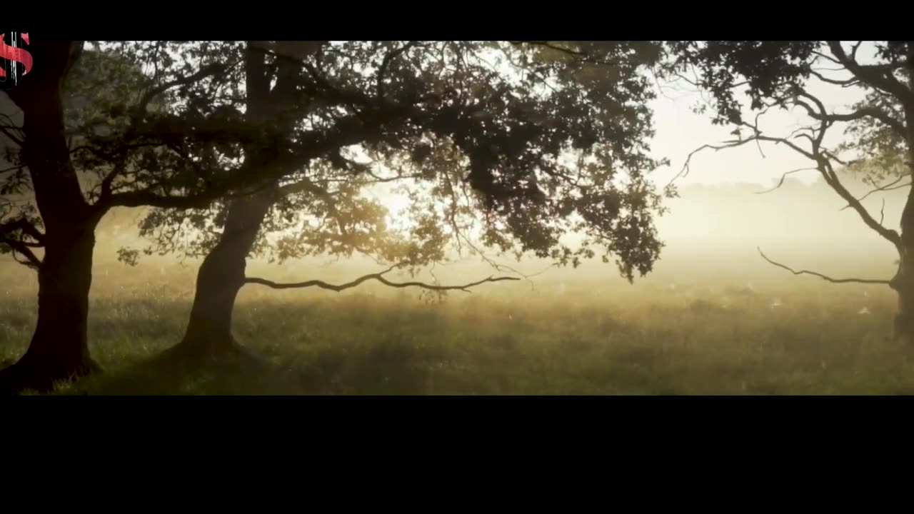 Beautiful nature and scenic free stock footage