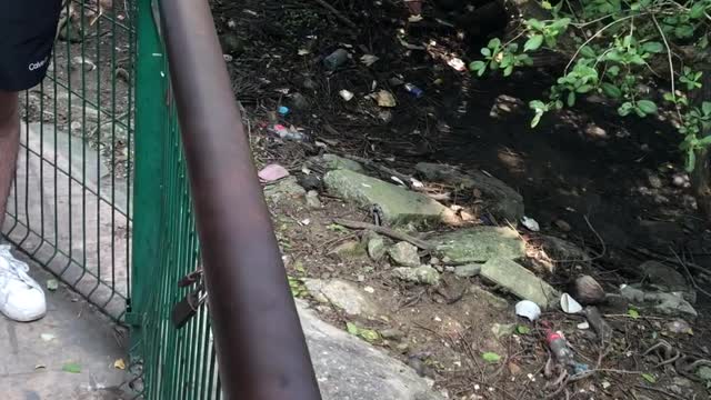 Feeding an Alligator at a Lagoon in Mexico