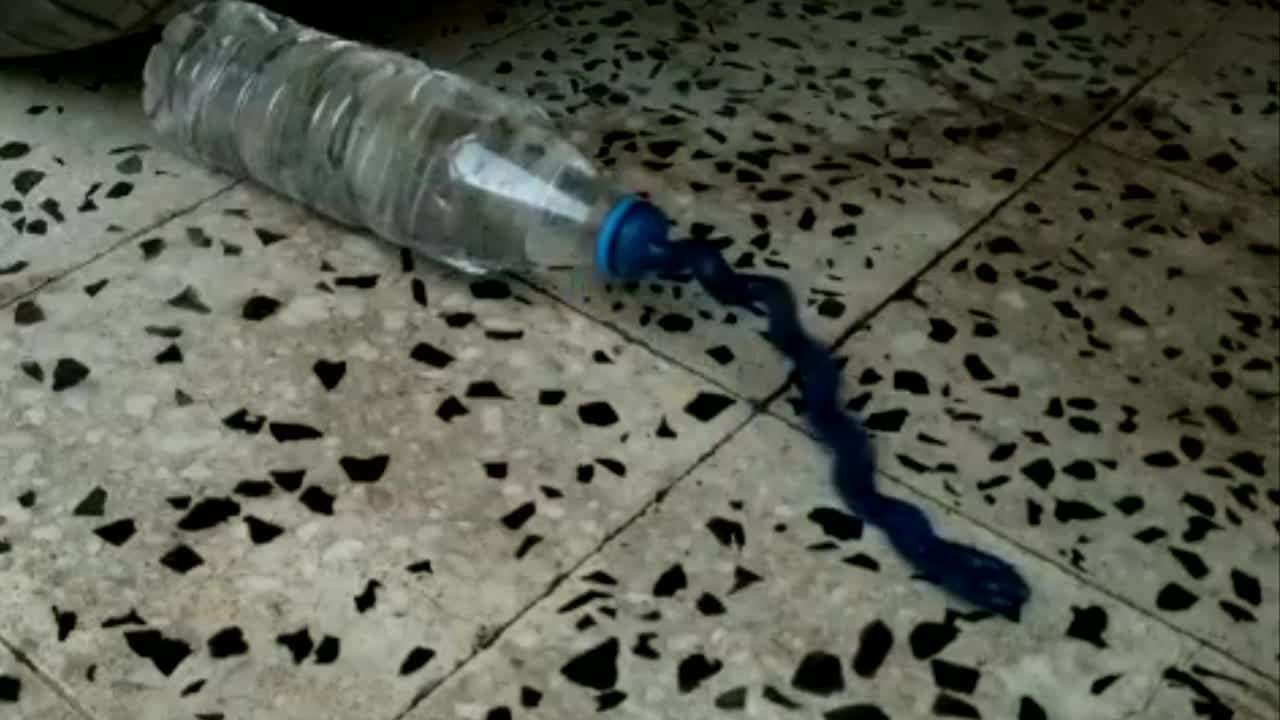 Crushing Crunchy & Soft Things by Car! EXPERIMENT CAR VS bottle of water and ballon