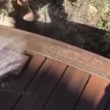 The process of bending a tree