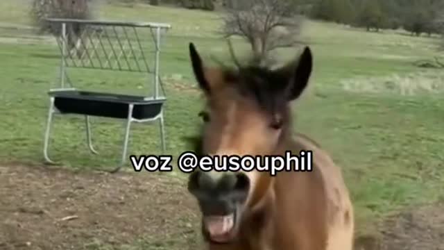 não fura a dieta Simone 🐴 #eusouphil