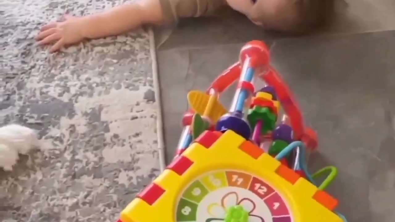 Funny cat