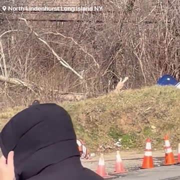 A small plane crash has been reported on Long Island, New York