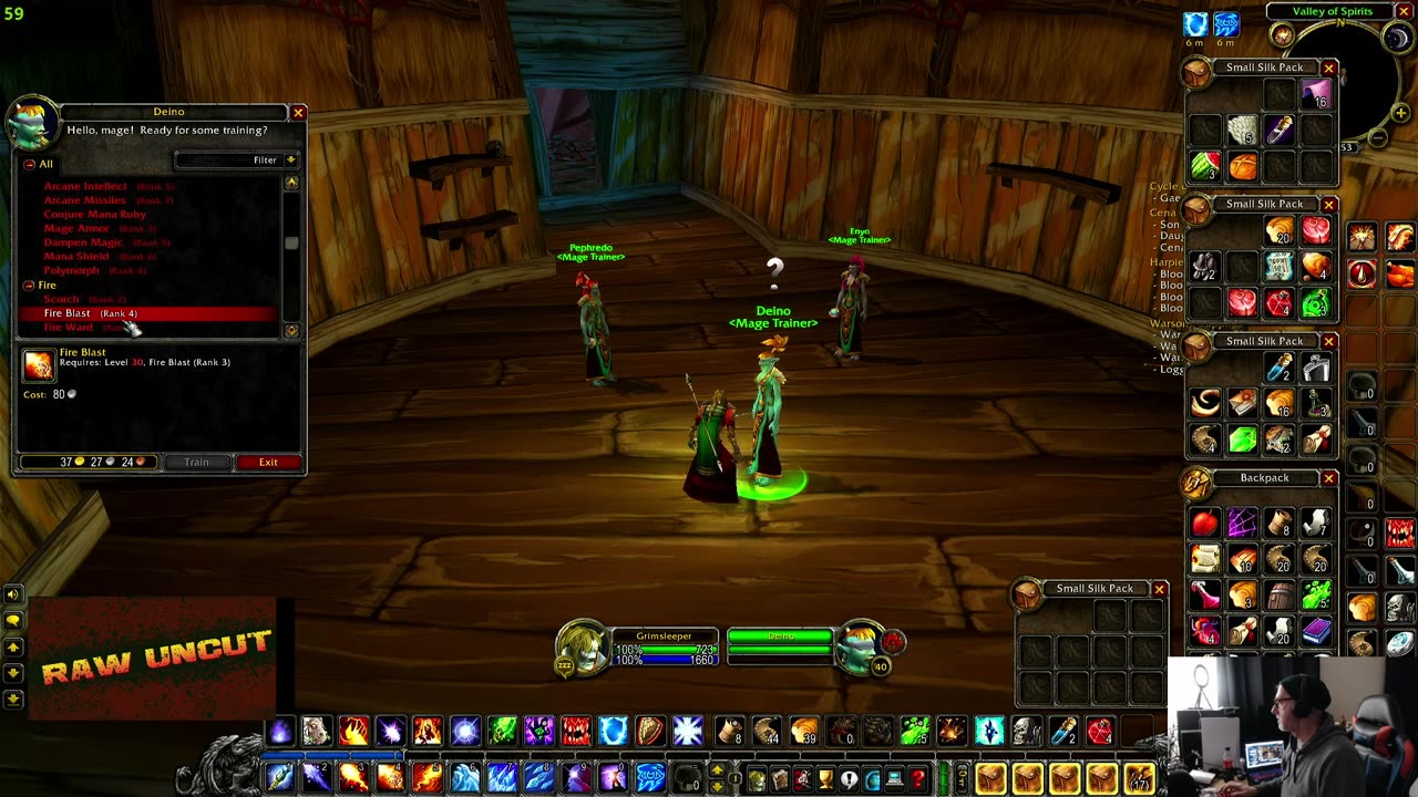 Playing World Of Warcraft Classic Badly [8]