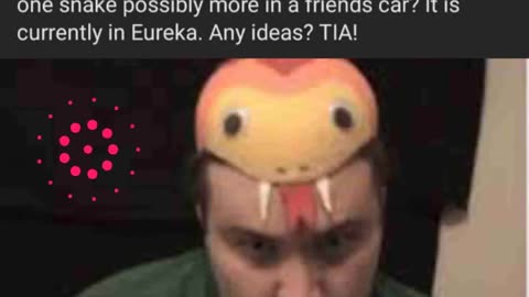 I'm a sneaky little snake!