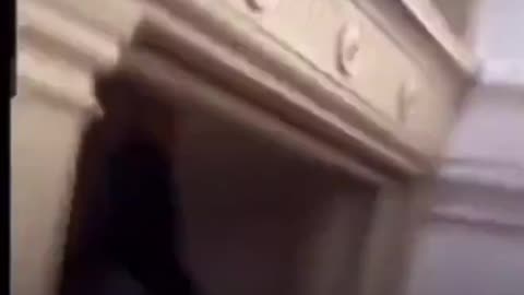 Why are they handing bats out from inside the Capitol on January 6th?