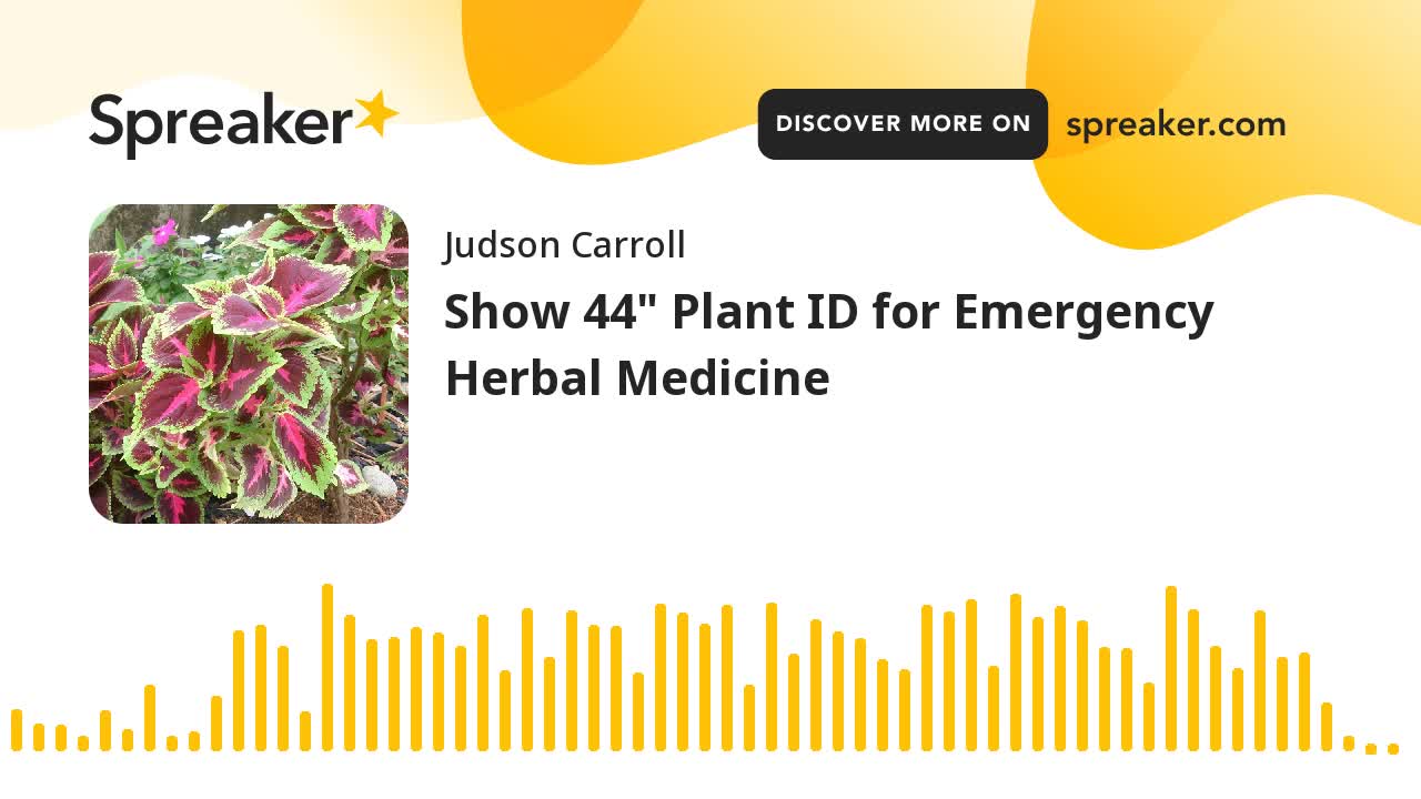 Show 44: Plant ID for Emergency Herbal Medicine (part 3 of 3)