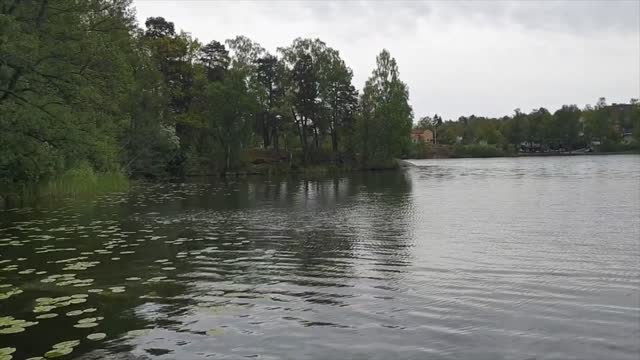 Marvelous lake view.