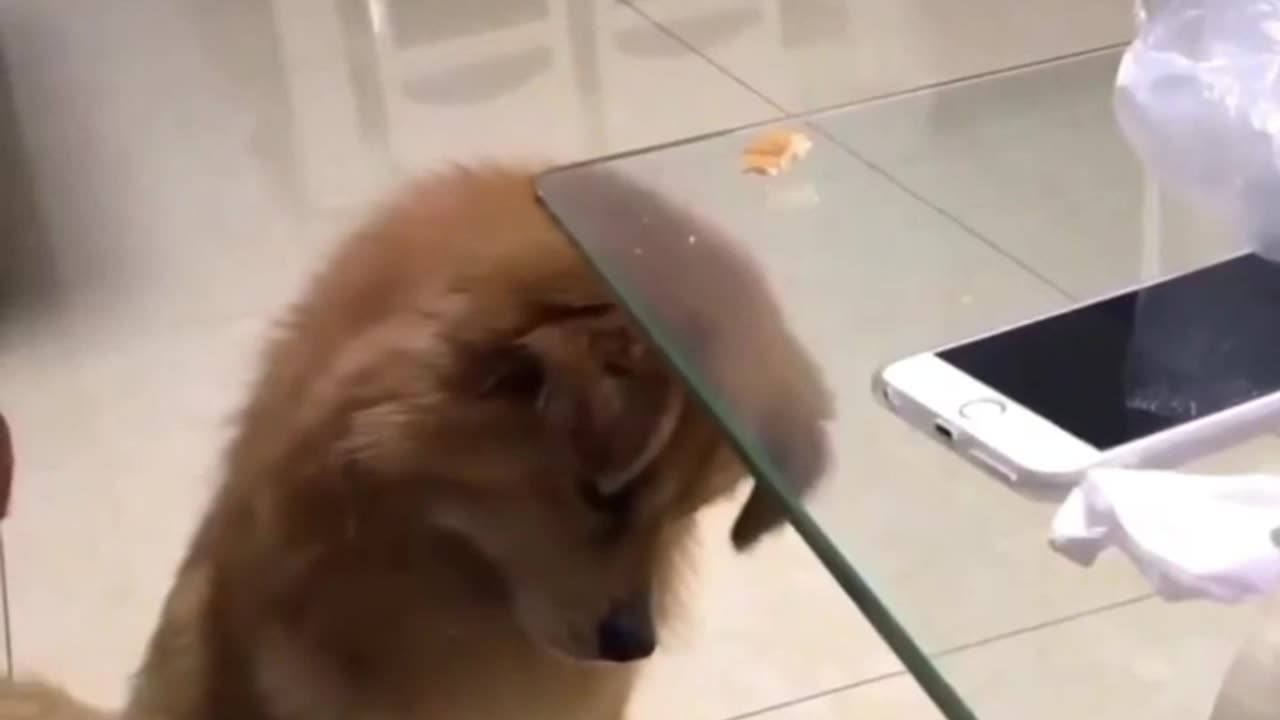 Funny_Fails_3