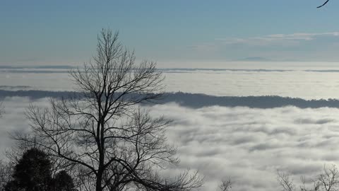 Lookout Mtn. Above The Clouds