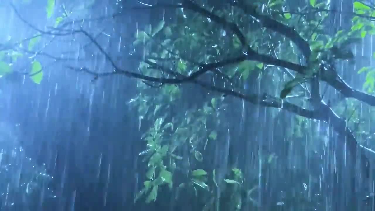 Fall Asleep Within 3 Minutes with Heavy Rain & Thunder in Rainforest at Night | Real Rain Sounds