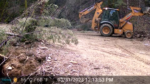 Downed Tree No Problem - Case 580 Loader at Work