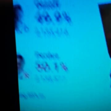 INTERNATIONAL WIDE ELECTION FRAUD VOTING MACHINE CRIME, GEORGIA RUNOFF SHAM ELECTION CRIME 138