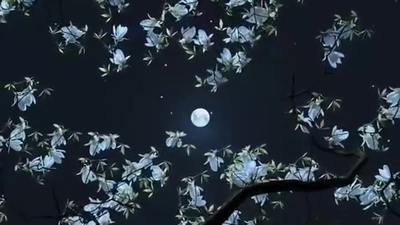Moonlight