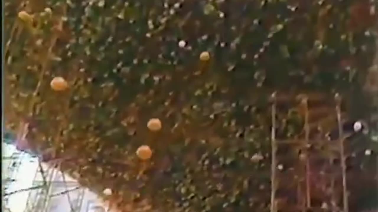 America's dumbest charity events